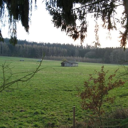 Ferienwohnung Prior Bad Emstal Екстер'єр фото