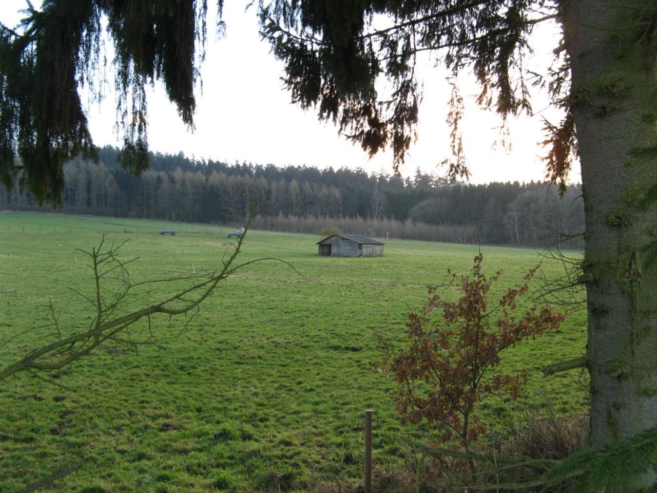 Ferienwohnung Prior Bad Emstal Екстер'єр фото